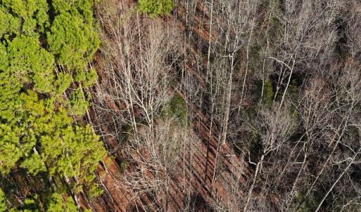 Photo #9 of Off Hwy 98, Spring Hope, NC 12.8 acres