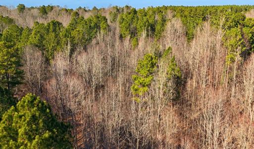 Photo #21 of Off Hwy 98, Spring Hope, NC 12.8 acres