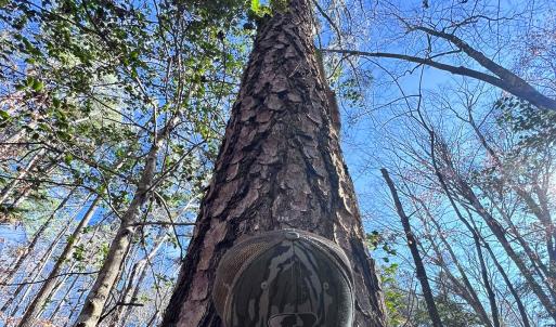 Photo #24 of Off Hwy 98, Spring Hope, NC 12.8 acres