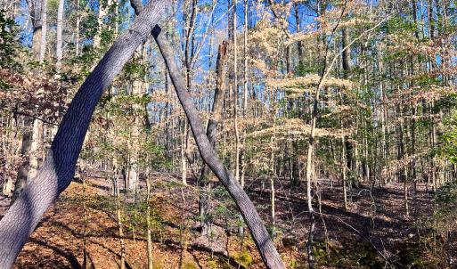 Photo #25 of Off Hwy 98, Spring Hope, NC 12.8 acres