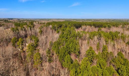 Photo #27 of Off Hwy 98, Spring Hope, NC 12.8 acres