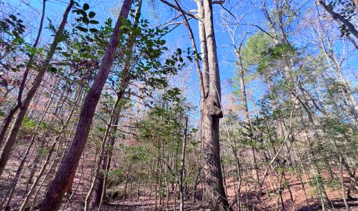 Photo #34 of Off Hwy 98, Spring Hope, NC 12.8 acres