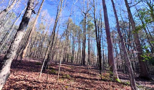 Photo #37 of Off Hwy 98, Spring Hope, NC 12.8 acres