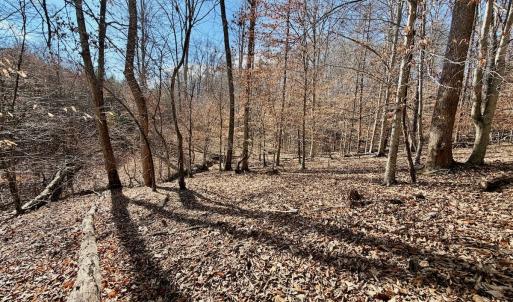 Photo #10 of off Salem Road, Schuyler, VA 4.8 acres