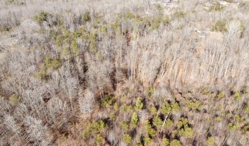 Photo #11 of off Salem Road, Schuyler, VA 4.8 acres