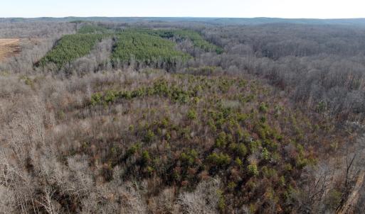 Photo #12 of off Salem Road, Schuyler, VA 4.8 acres