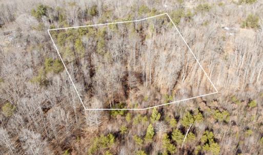 Photo #1 of off Salem Road, Schuyler, VA 4.8 acres