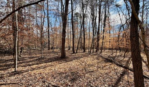 Photo #2 of off Salem Road, Schuyler, VA 4.8 acres