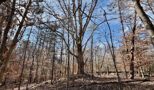 Photo #3 of off Salem Road, Schuyler, VA 4.8 acres