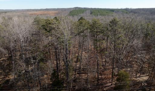 Photo #4 of off Salem Road, Schuyler, VA 4.8 acres