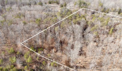 Photo #5 of off Salem Road, Schuyler, VA 4.8 acres