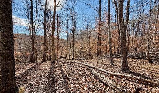 Photo #7 of off Salem Road, Schuyler, VA 4.8 acres