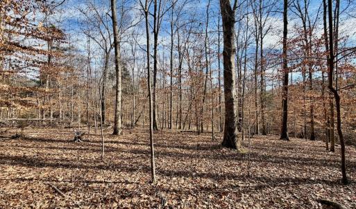 Photo #9 of off Salem Road, Schuyler, VA 4.8 acres