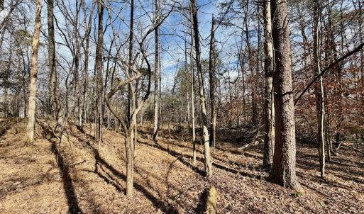 Photo #17 of off Salem Road, Schuyler, VA 4.8 acres