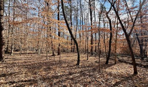 Photo #18 of off Salem Road, Schuyler, VA 4.8 acres