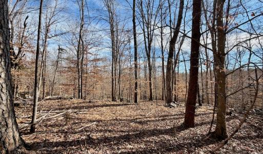 Photo #19 of off Salem Road, Schuyler, VA 4.8 acres