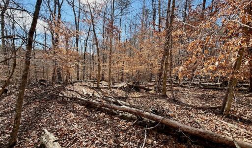 Photo #20 of off Salem Road, Schuyler, VA 4.8 acres