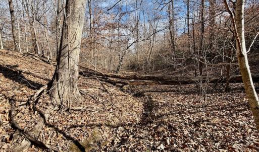 Photo #22 of off Salem Road, Schuyler, VA 4.8 acres