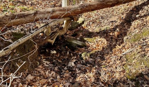 Photo #23 of off Salem Road, Schuyler, VA 4.8 acres