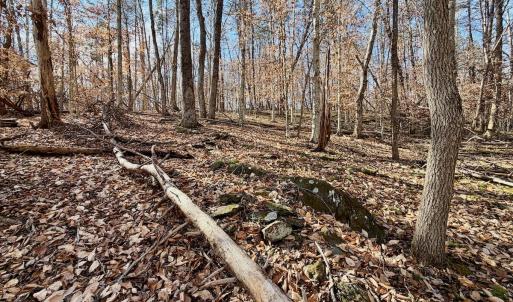 Photo #25 of off Salem Road, Schuyler, VA 4.8 acres