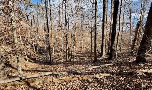 Photo #26 of off Salem Road, Schuyler, VA 4.8 acres