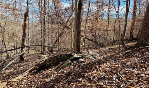 Photo #27 of off Salem Road, Schuyler, VA 4.8 acres