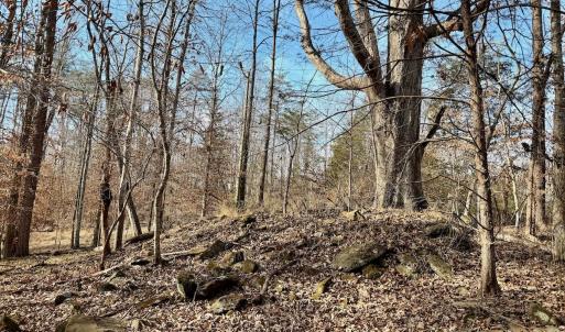 Photo #28 of off Salem Road, Schuyler, VA 4.8 acres