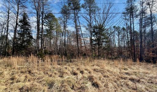 Photo #29 of off Salem Road, Schuyler, VA 4.8 acres