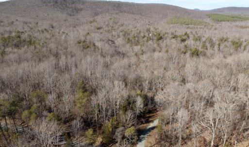 Photo #35 of off Salem Road, Schuyler, VA 4.8 acres
