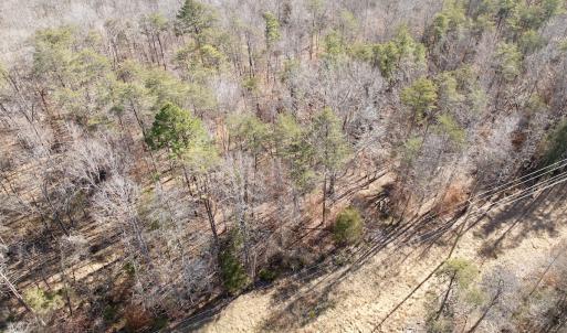 Photo #39 of off Salem Road, Schuyler, VA 4.8 acres