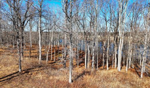 Photo #16 of Off Boxwood Shores Drive, Boydton, VA 3.4 acres