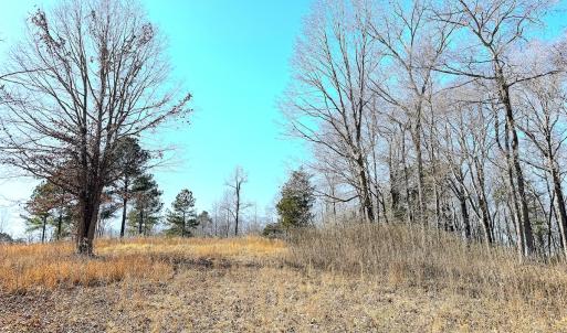 Photo #19 of Off Boxwood Shores Drive, Boydton, VA 3.4 acres