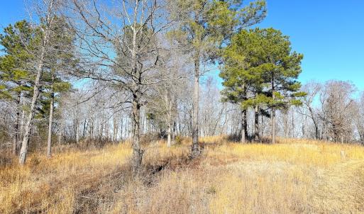 Photo #22 of Off Boxwood Shores Drive, Boydton, VA 3.4 acres