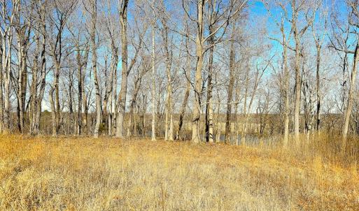 Photo #9 of Off Boxwood Shores Drive, Boydton, VA 3.4 acres