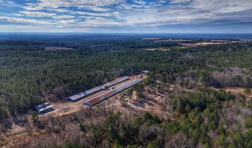 Photo #13 of 1474 Hillmon Grove Rd, Cameron, NC 59.1 acres