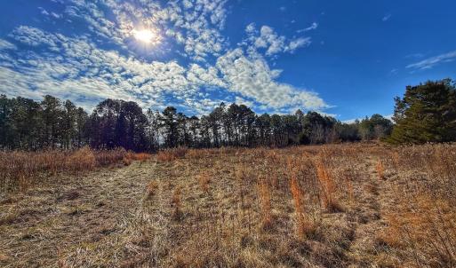 Photo #16 of 1474 Hillmon Grove Rd, Cameron, NC 59.1 acres