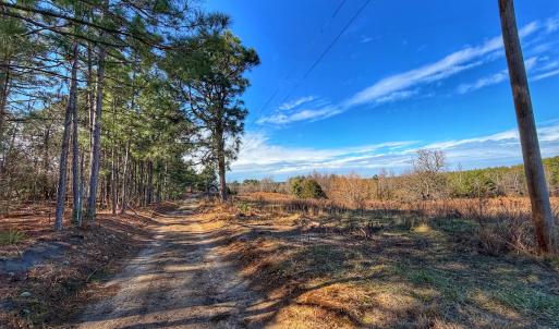 Photo #4 of 1474 Hillmon Grove Rd, Cameron, NC 59.1 acres