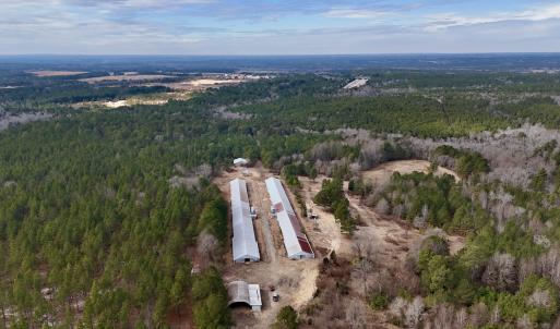 Photo #8 of 1474 Hillmon Grove Rd, Cameron, NC 59.1 acres
