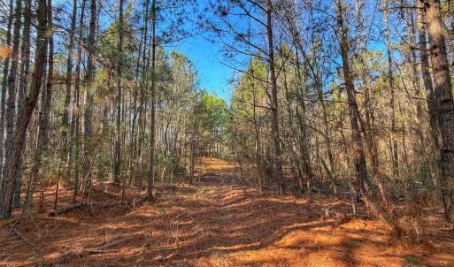 Photo #21 of 1474 Hillmon Grove Rd, Cameron, NC 59.1 acres