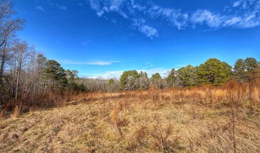 Photo #24 of 1474 Hillmon Grove Rd, Cameron, NC 59.1 acres