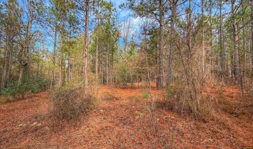 Photo #28 of 1474 Hillmon Grove Rd, Cameron, NC 59.1 acres