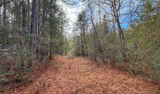 Photo #29 of 1474 Hillmon Grove Rd, Cameron, NC 59.1 acres