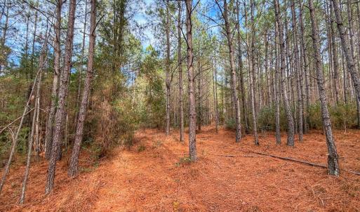 Photo #33 of 1474 Hillmon Grove Rd, Cameron, NC 59.1 acres