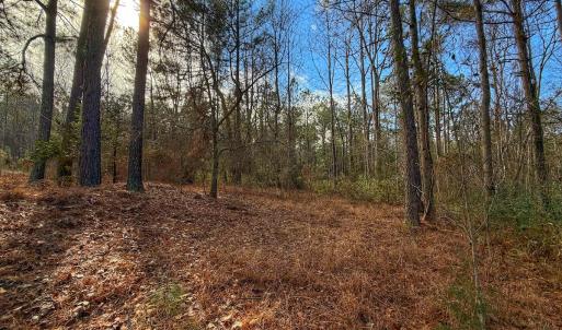 Photo #36 of 1474 Hillmon Grove Rd, Cameron, NC 59.1 acres