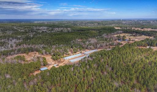 Photo #40 of 1474 Hillmon Grove Rd, Cameron, NC 59.1 acres