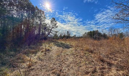 Photo #43 of 1474 Hillmon Grove Rd, Cameron, NC 59.1 acres