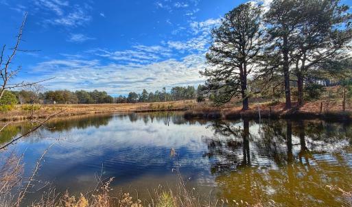 Photo #45 of 1474 Hillmon Grove Rd, Cameron, NC 59.1 acres