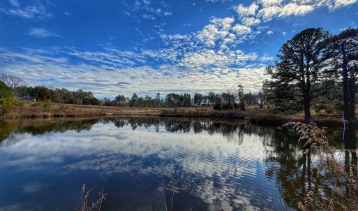 Photo #46 of 1474 Hillmon Grove Rd, Cameron, NC 59.1 acres