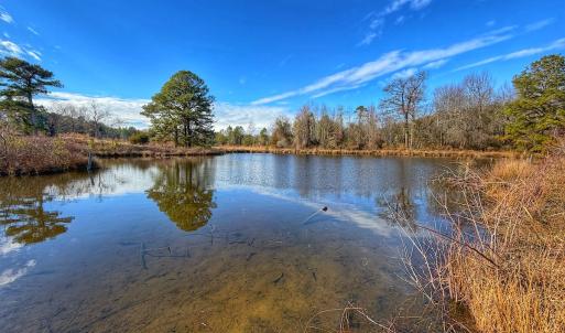 Photo #47 of 1474 Hillmon Grove Rd, Cameron, NC 59.1 acres