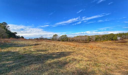 Photo #52 of 1474 Hillmon Grove Rd, Cameron, NC 59.1 acres